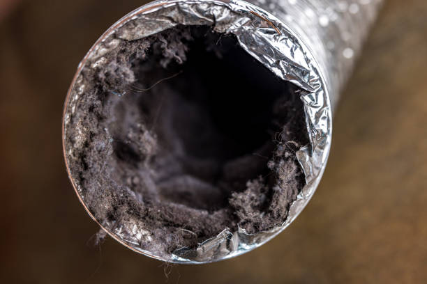 Best HVAC Air Duct Cleaning  in Lake Isabella, CA