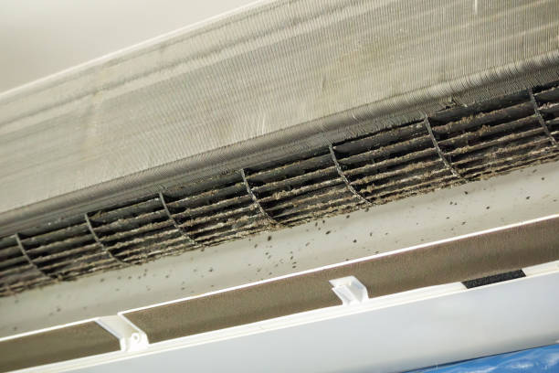 Best Commercial Air Duct Cleaning  in Lake Isabella, CA