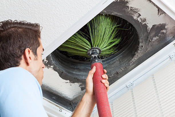 Best Air Vent Cleaning Services  in Lake Isabella, CA